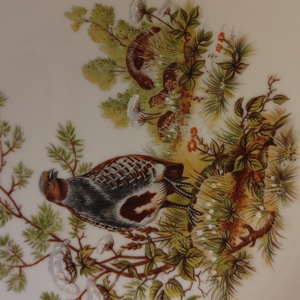 6 Bareuther Waldsassen Wildlife Transferware Porcelain Luncheon Plates - Picture 9 of 17